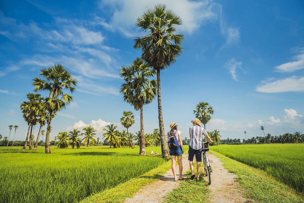 Co Combo Chiang Mai Bicycle Tour with Local Set Meal - Join Tour