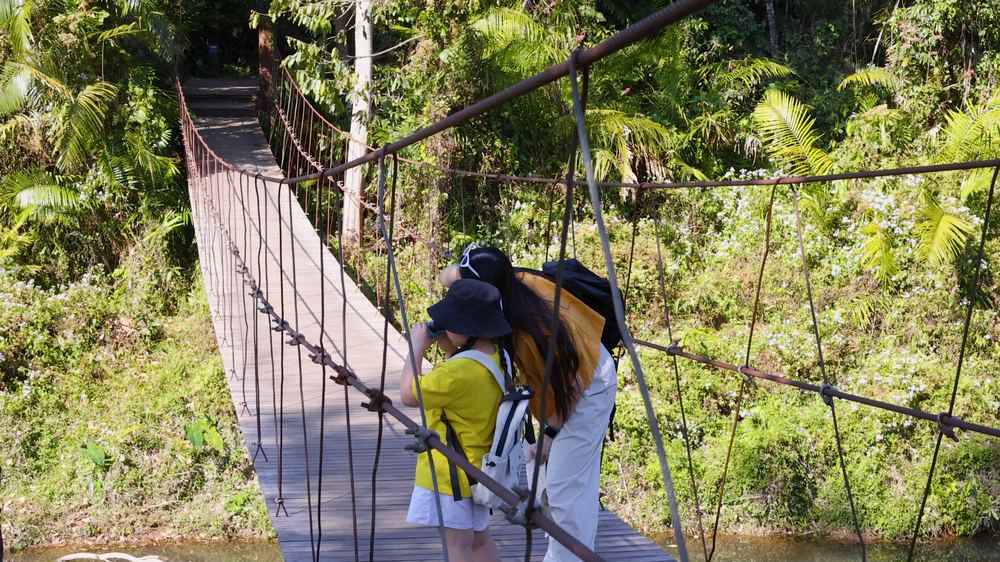 Wildlife Tour with Night Safari in Khao Yai - Private Basis (4 Pax)