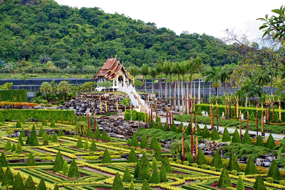 Nong Nooch Tropical Garden - Admission Fee + Lunch (cattleya) + Sightseeing Bus