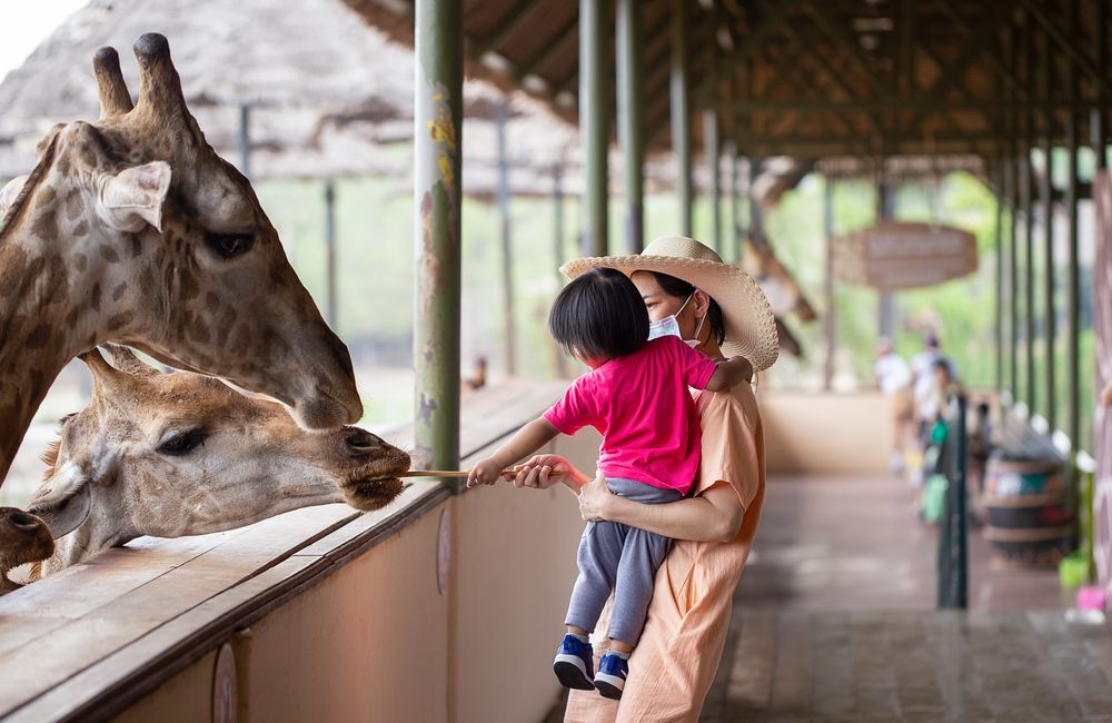 Safari Park Kanchanaburi - Entry Ticket