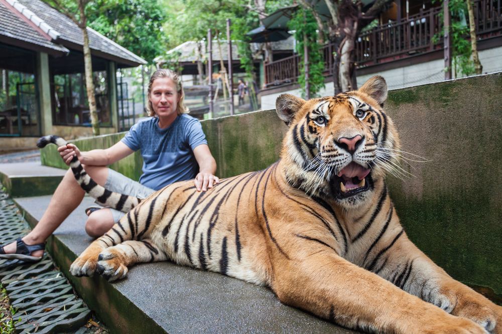 Sriracha Tiger Topia - Lunch Only