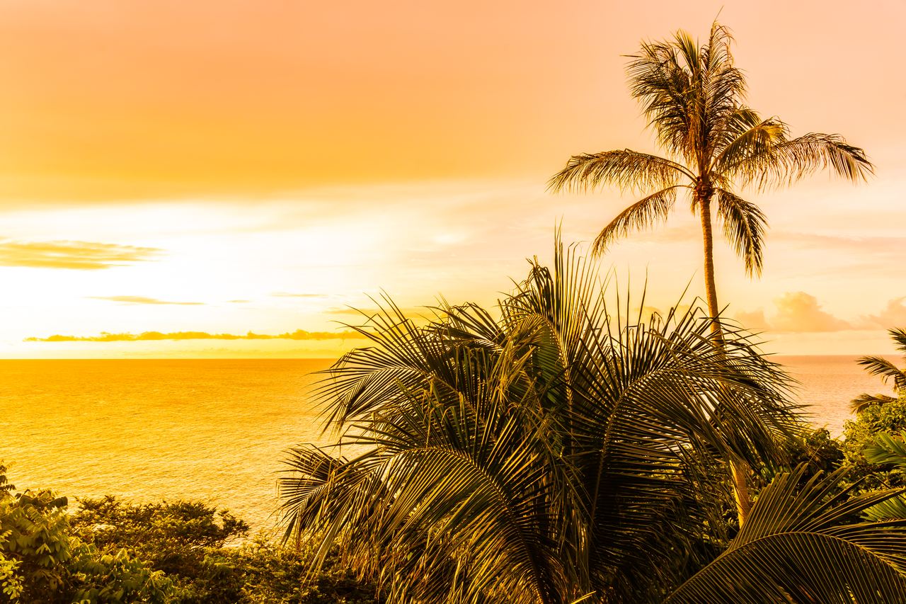 Things to do in Koh Samui