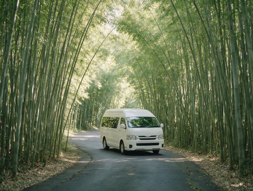 Premium Van Transfer — Koh Phangan (One Way)