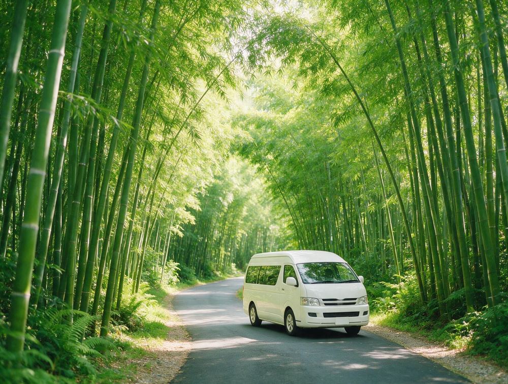 Premium Van Transfer — Koh Phangan (Round Trip)
