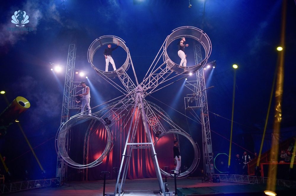 Aqua Circus Phuket (gold Seat) - Private Basis - Valid Till Oct 2026