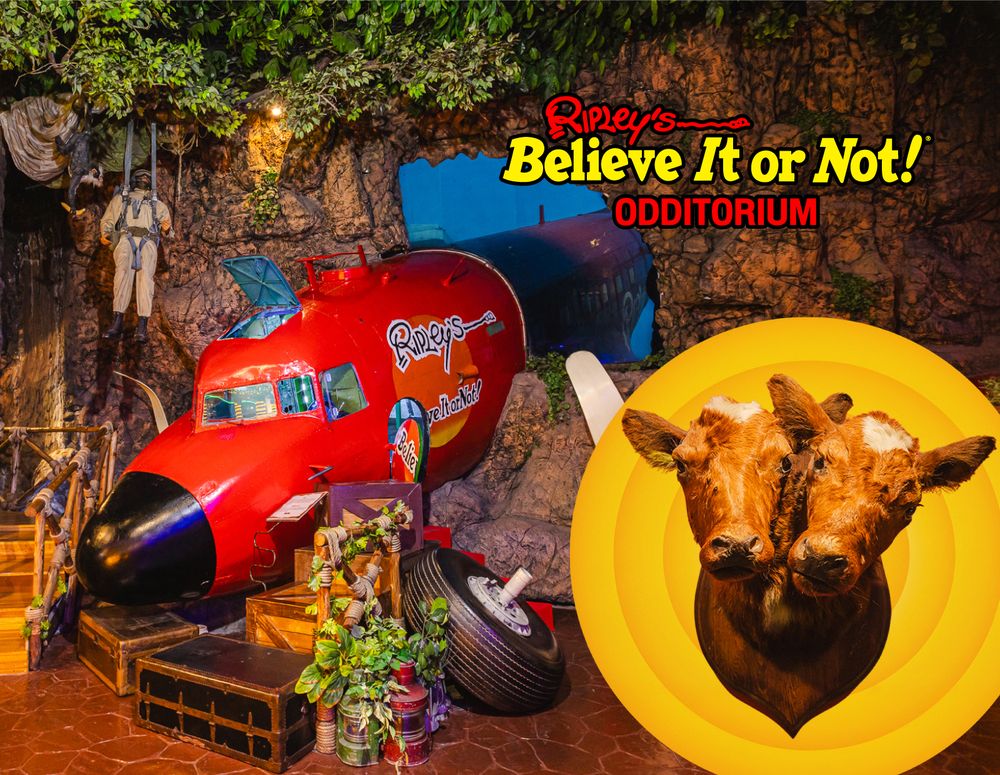 Ripley's Believe It or Not! - Horror Hospital - Pattaya