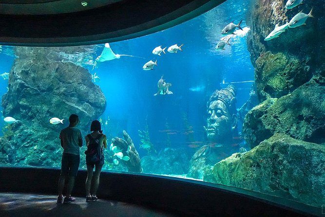 Sea Life Ocean World Bangkok - Private Basis (free Digital Photo)