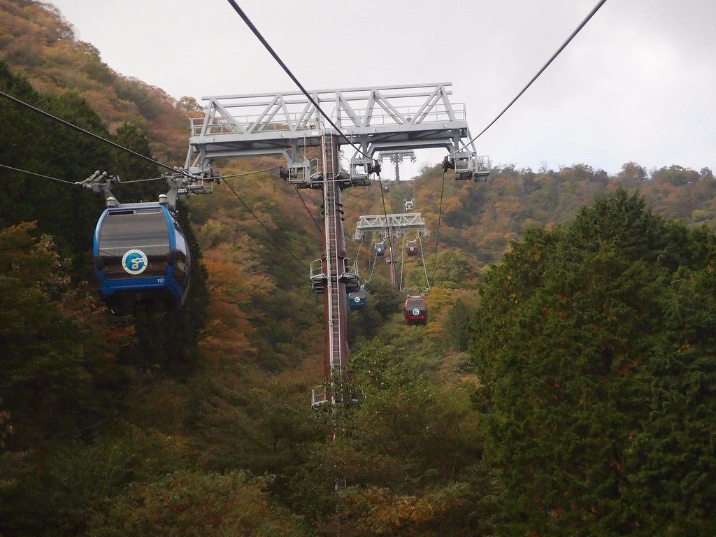 Hakone Ropeway One-Way 01 Day Ticket