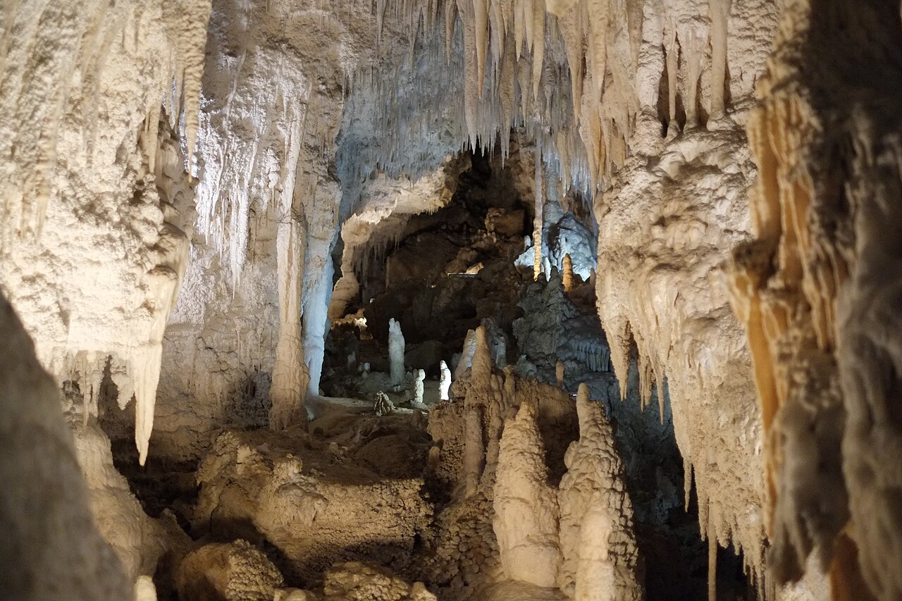 Waitomo Gloworm Caves + Aranui Cave / Adult Ticket
