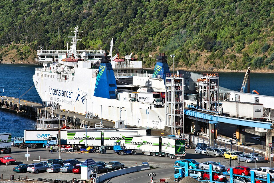 Cook Strait/ Picton - Wellingon / Adult