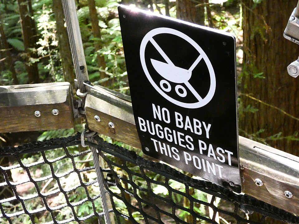 Redwoods Treewalk™ – Daytime General Admission / Child — photo 2