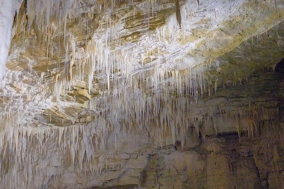 Waitomo Gloworm Caves + Ruakuri Cave / Child Ticket — photo 2