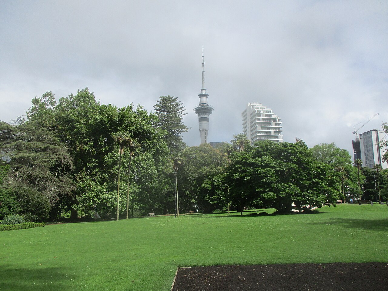 Sky Tower / Single Entry/ Adult — photo 2