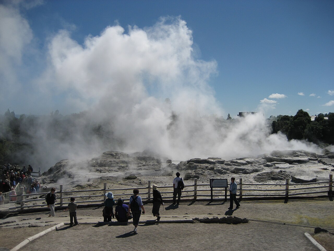 Te Puia / MĀRama: Geyser Light Trail / Adult