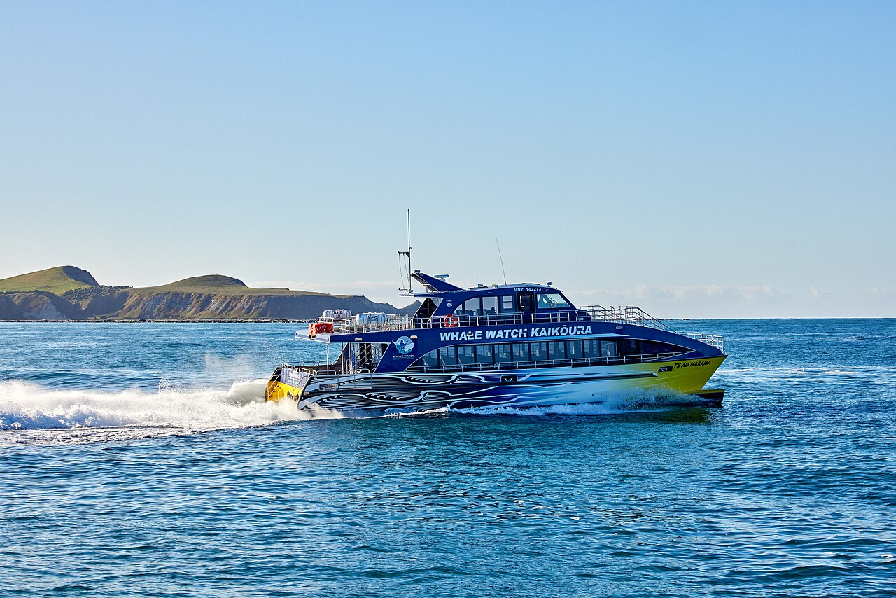 Whale Watch / KaikŌUra / Adult — photo 2
