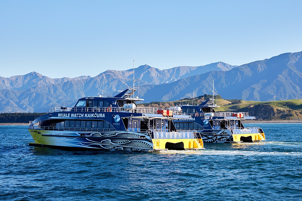 Whale Watch / KaikŌUra / Adult