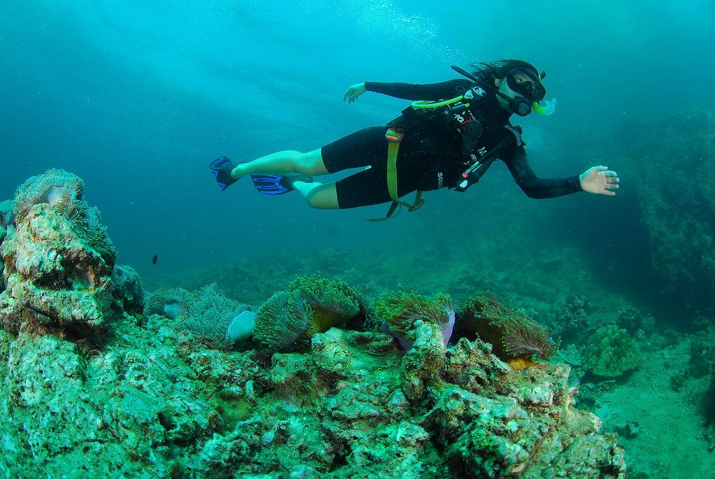 Phi Phi Discover Scuba Diver – Non-Certified Divers — photo 2
