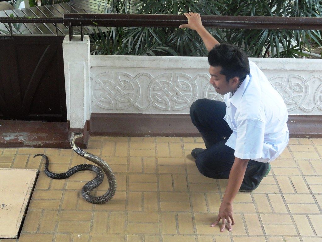 Snake Farm Bangkok – Entry Ticket