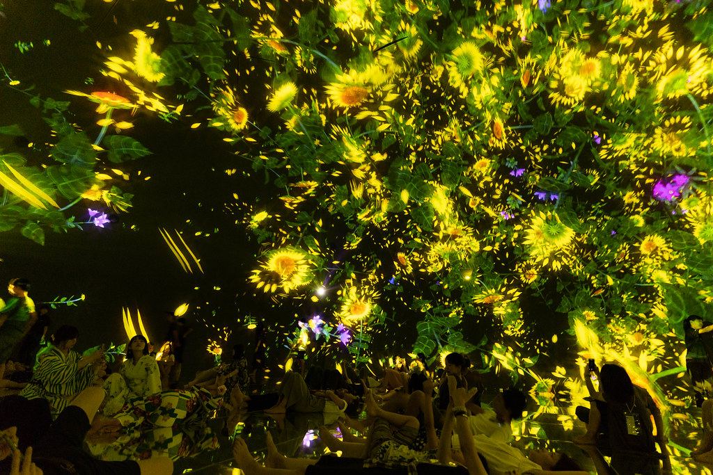 Teamlab Planets Tokyo Admission Ticket