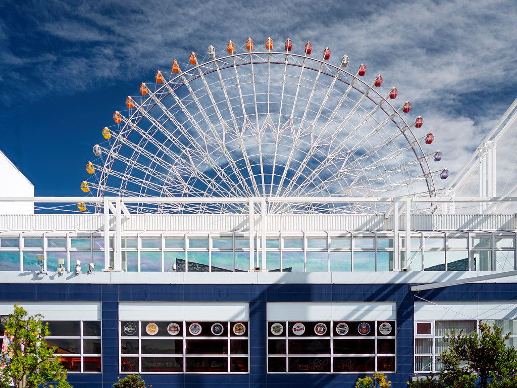 Santa Maria Cruise Ticket + Tempozan Giant Ferris Wheel Ticket — photo 3